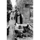 Aznavour et les poules 02